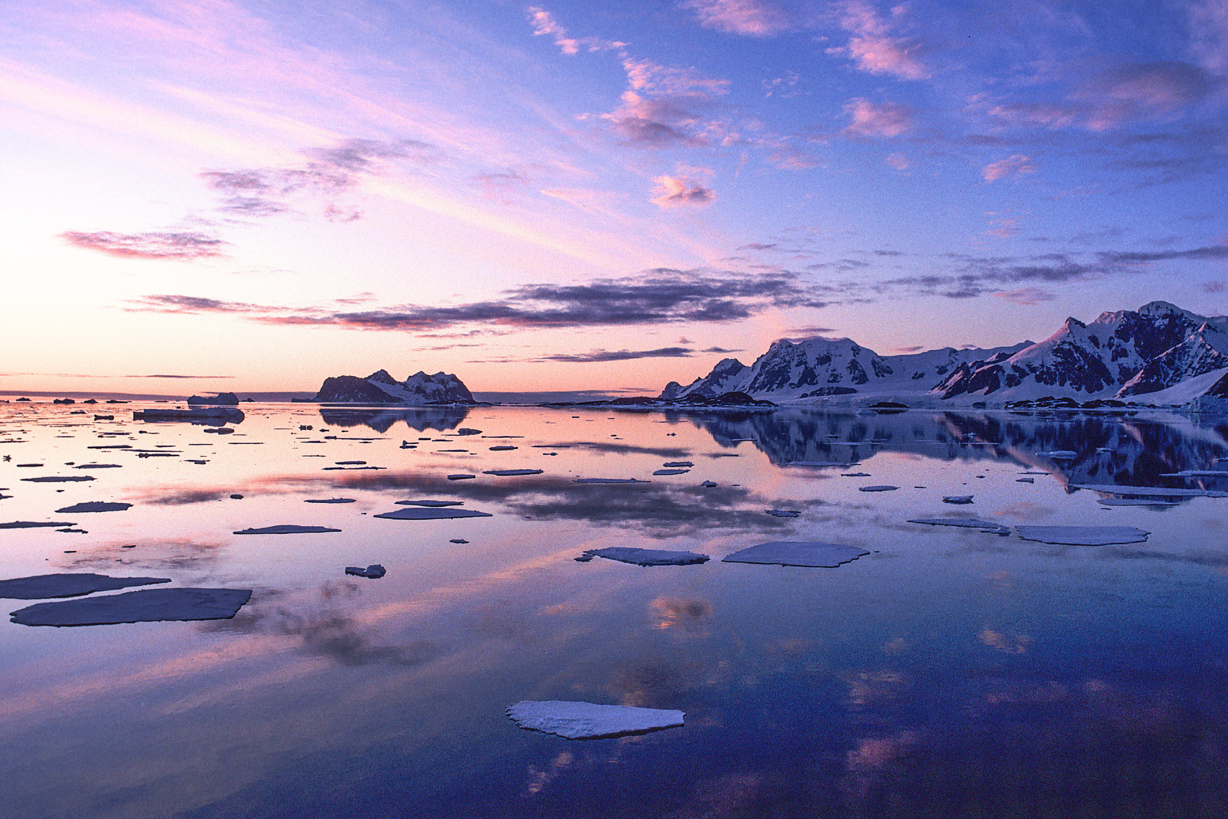marguerite bay (4).webp